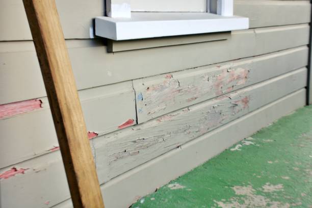 Best Siding for New Construction  in Boulevard Park, WA