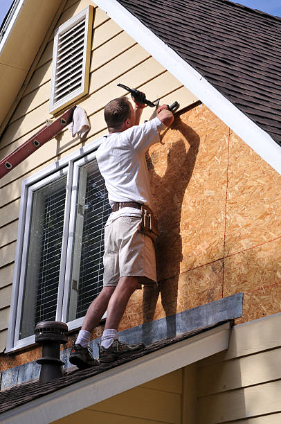 Best Fascia and Soffit Installation  in Boulevard Park, WA